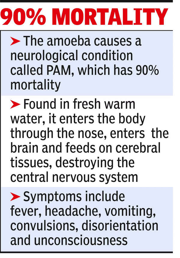 Brain-Eating Amoeba: 6 Cases Of Brain-eating Amoeba Infection Detected ...