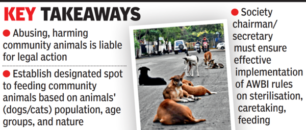 pets and stray dogs