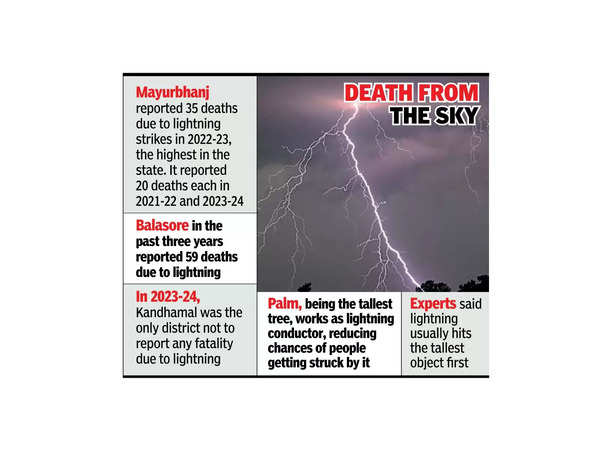 134 lightning deaths in just 2 dists in past 3 yrs: Forest min