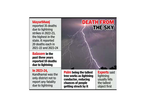 134 lightning deaths in just 2 dists in past 3 yrs: Forest min