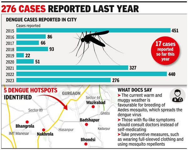 City records 17 dengue cases in 6 wks, 5 areas emerge as hotspots