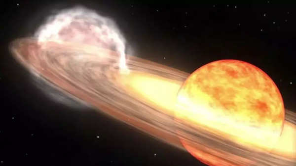 white dwarf red giant