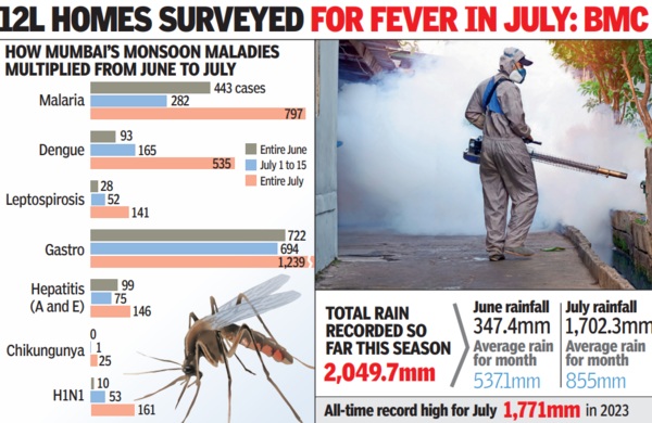 Dengue: Increase in Dengue, Malaria, and H1N1 Flu Cases in Mumbai ...