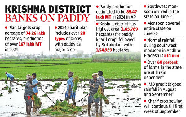 East Godavari district takes top slot in kharif sowing