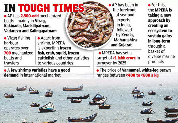 As prawn price plunges, boat owners decry losses