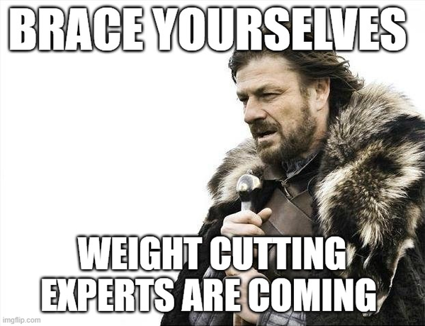 Weight Cutting Experts