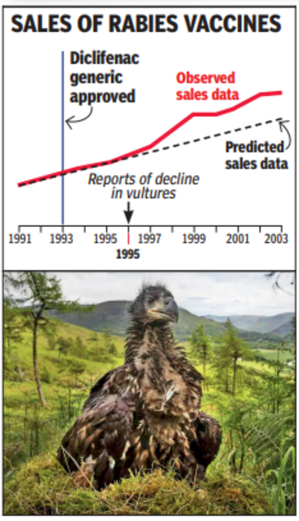 Sales of rabies vaccines