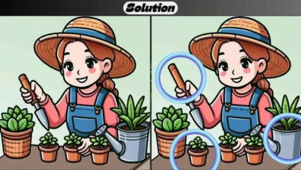 Spot the difference puzzle answer