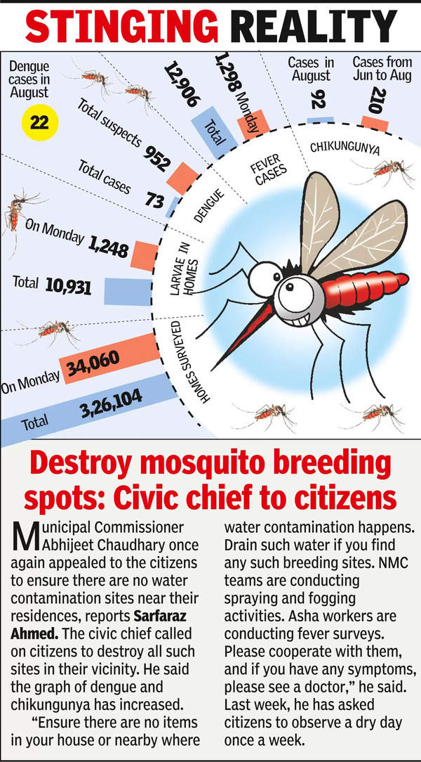 City grapples with dengue, chikungunya second wave