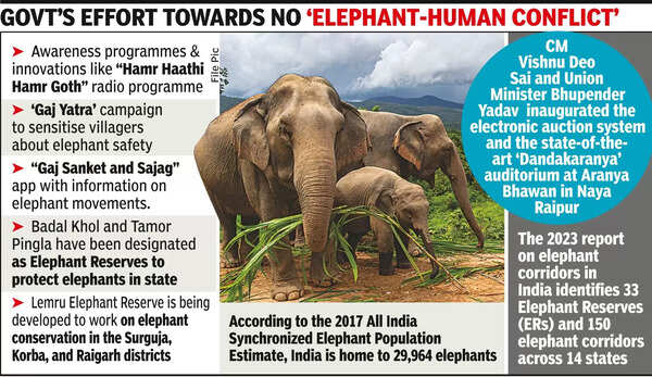 Elephant Conservation: Chhattisgarh's Efforts to Prevent Human-Elephant  Conflicts Highlighted by CM | Raipur News - Times of India
