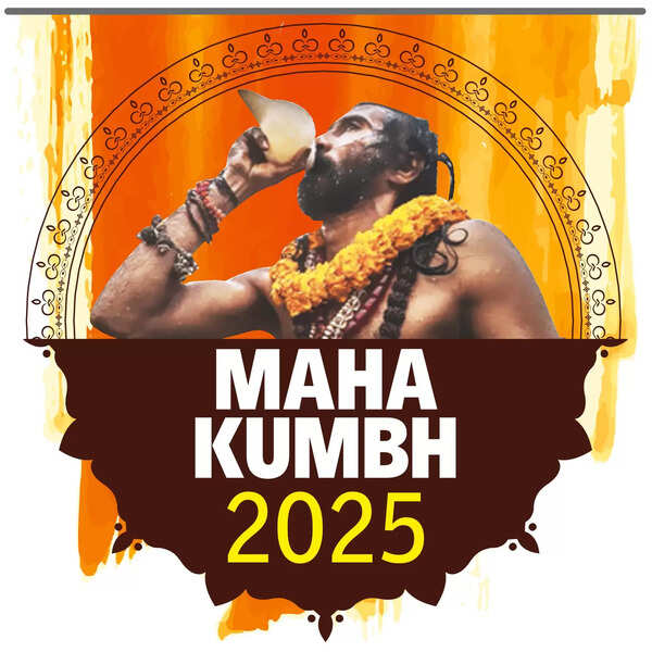 Maha Kumbh: Allotment process of land and other facilities goes online