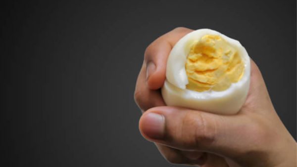 Egg yolk