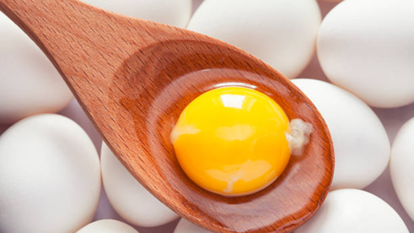 egg yolk