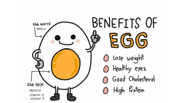 egg yolk