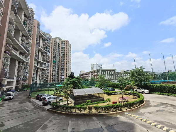 Oppo Reno 12 Pro camera sample 2