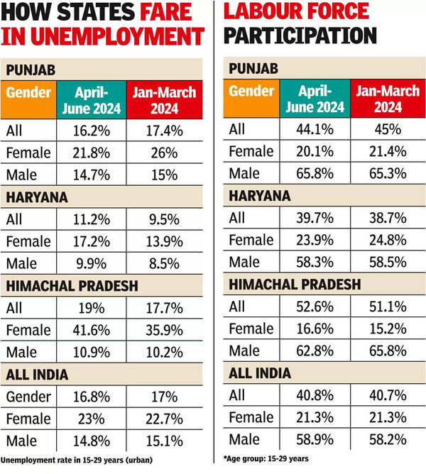 Drop in Labour Force Participation of Young, Educated Women in Punjab ...