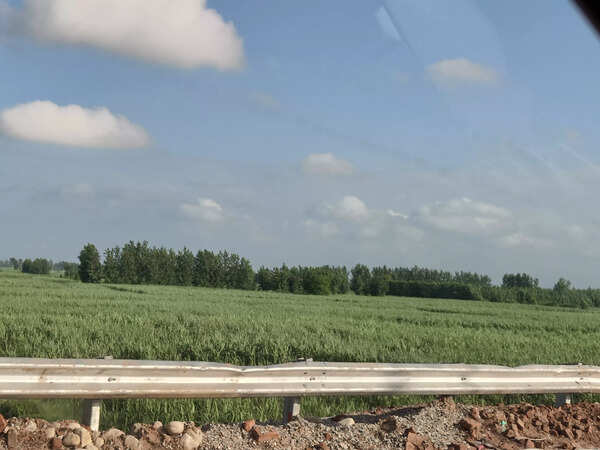 Realme 13 Pro+ 5G camera sample