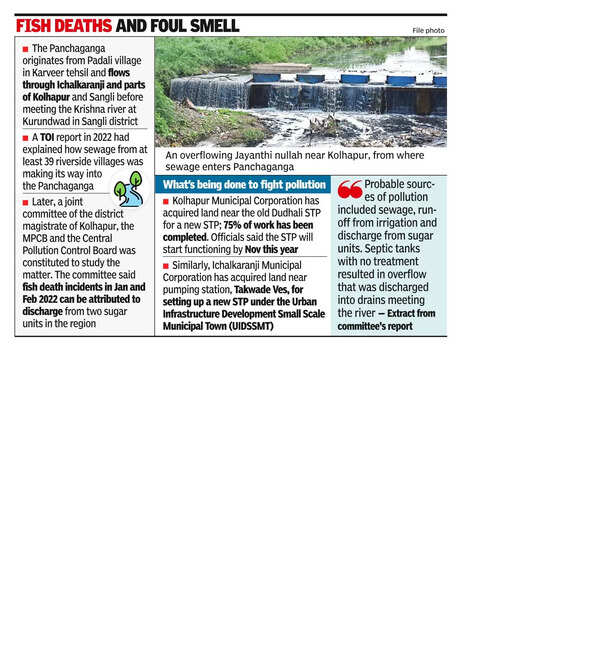 Panchaganga pollution: Civic bodies told to self-assess fine