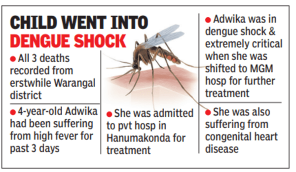 Child went into dengue shock