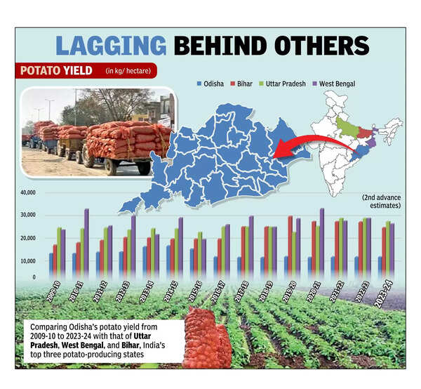 Timely sowing of seeds, increasing acreage & more cold storages may help potato production: Experts