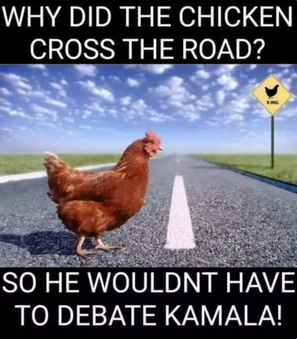 Trump meme