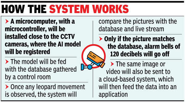 AI Tech: AI system to prevent leopard attacks in Pune's Junnar division ...