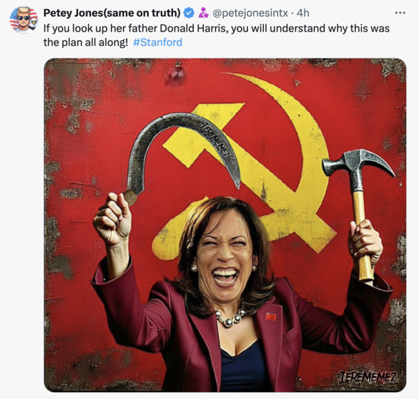 AI image shared on X - Kamala Harris