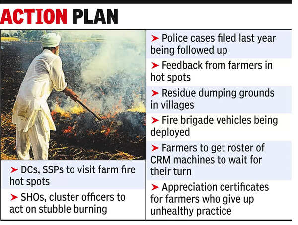 Stubble burning: Farmers violating ban to face penal action