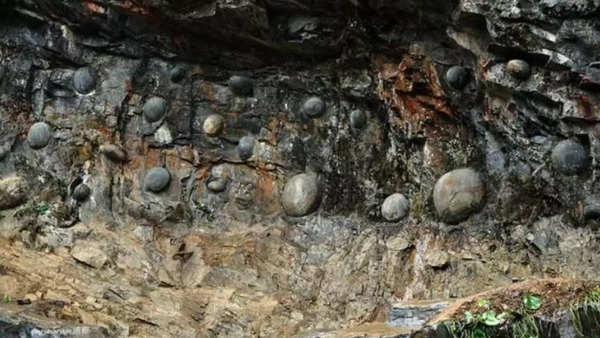 it is believed that these stone eggs have been around for almost 500 million years