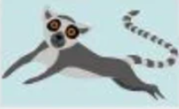 Flying lemur