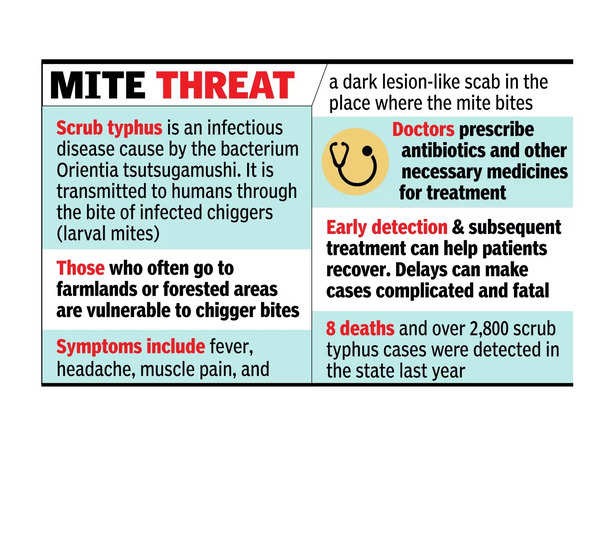 ‘Early detection key to check scrub typhus complications’