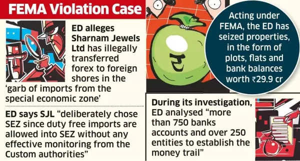 FEMA Violation Case