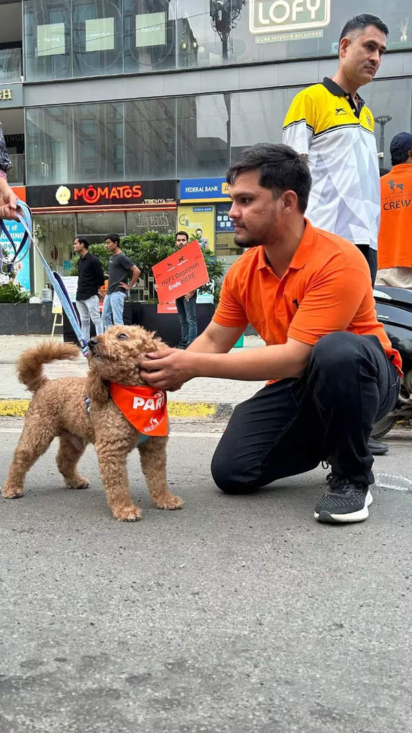 Pet parents run Dogathon with their fur buddies - Times of India