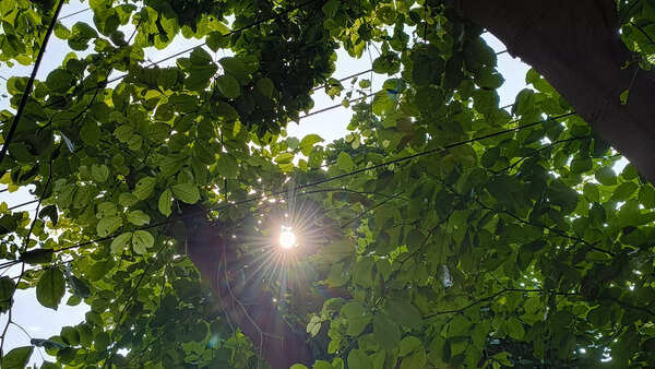 Nothing Phone (2a) Plus camera sample 4