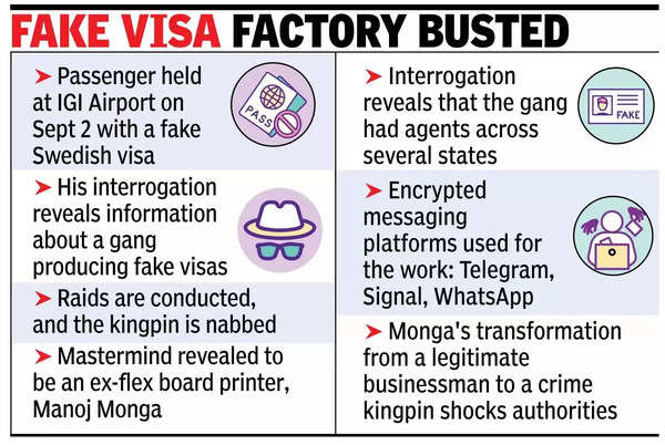 Fake visa factory busted