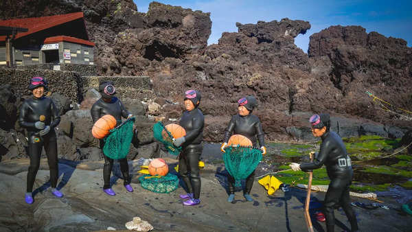 The Haenyeo is a special community of female-free divers living on Jeju Island