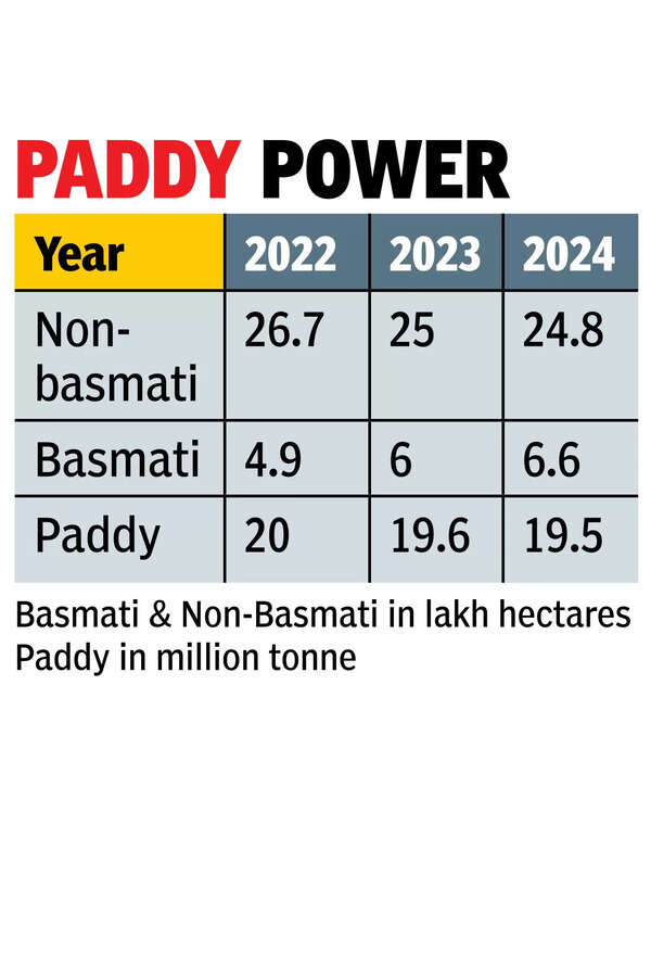 Min: Pb will reduce farm fires, but Centre needs to do more