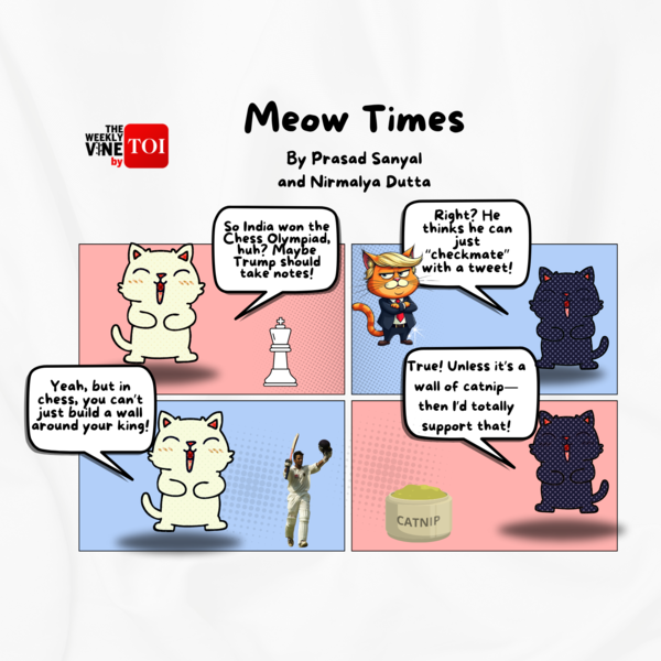 Meow Times (1600 x 1600 px)