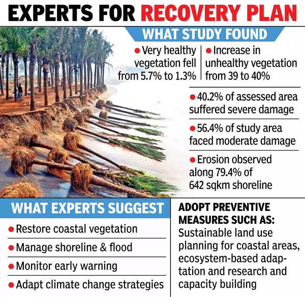 Experts develop recovery plan