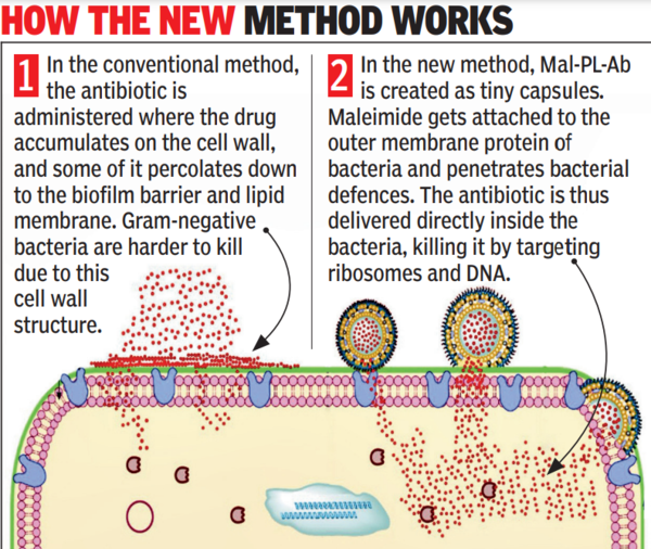 Fight superbugs