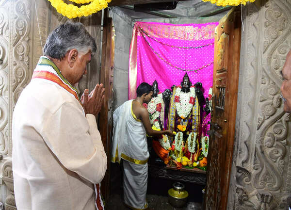 Andhra Pradesh CM Chandrababu Naidu