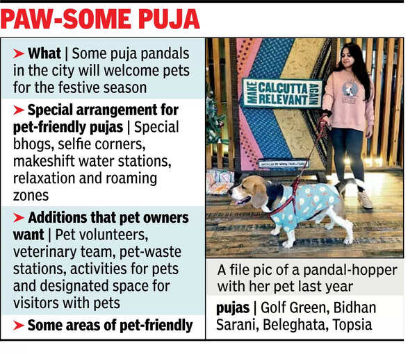 Special bhog, water stations and selfie corner at pet-friendly pujas