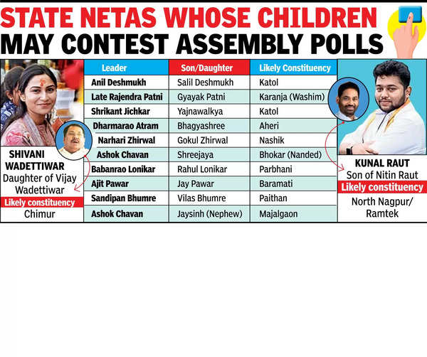 next generation of state netas who can contest in assembly polls