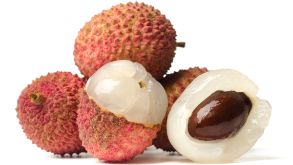 lychee seeds (2)