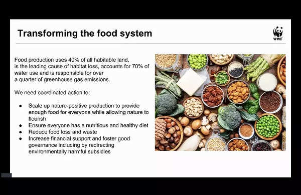 Transforming the food system