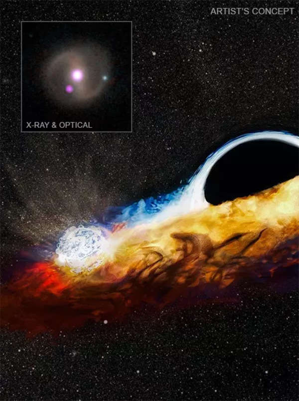 Caption: Artist’s impression of an orbiting star crashing through the accretion disk around a supermassive black hole and causing a burst of X-rays. The disk was cre-ated by the destruction of a previous star. Inset: Detection of X-rays (purple) with NASA's Chandra X-ray Observatory, overlaid on a visible light image of the host galaxy