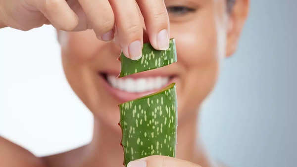 aloe vera thumb