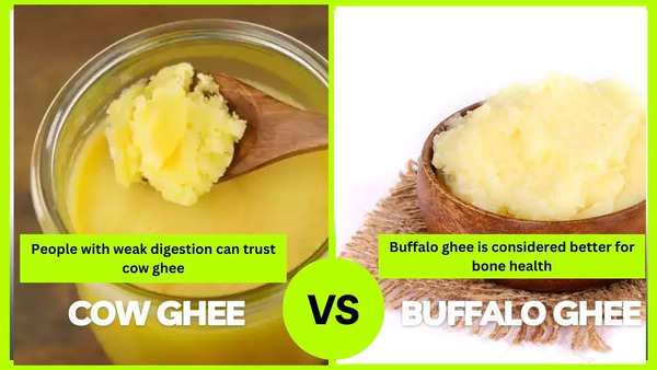 Cow Ghee vs buffalo ghee 1