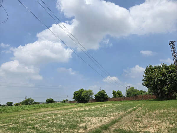 Samsung Galaxy Z Flip 6 camera sample
