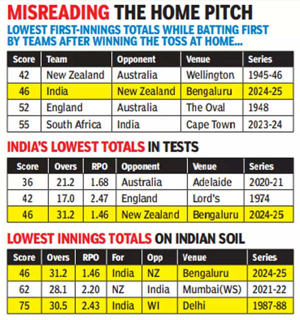 Cricket-gfx-2